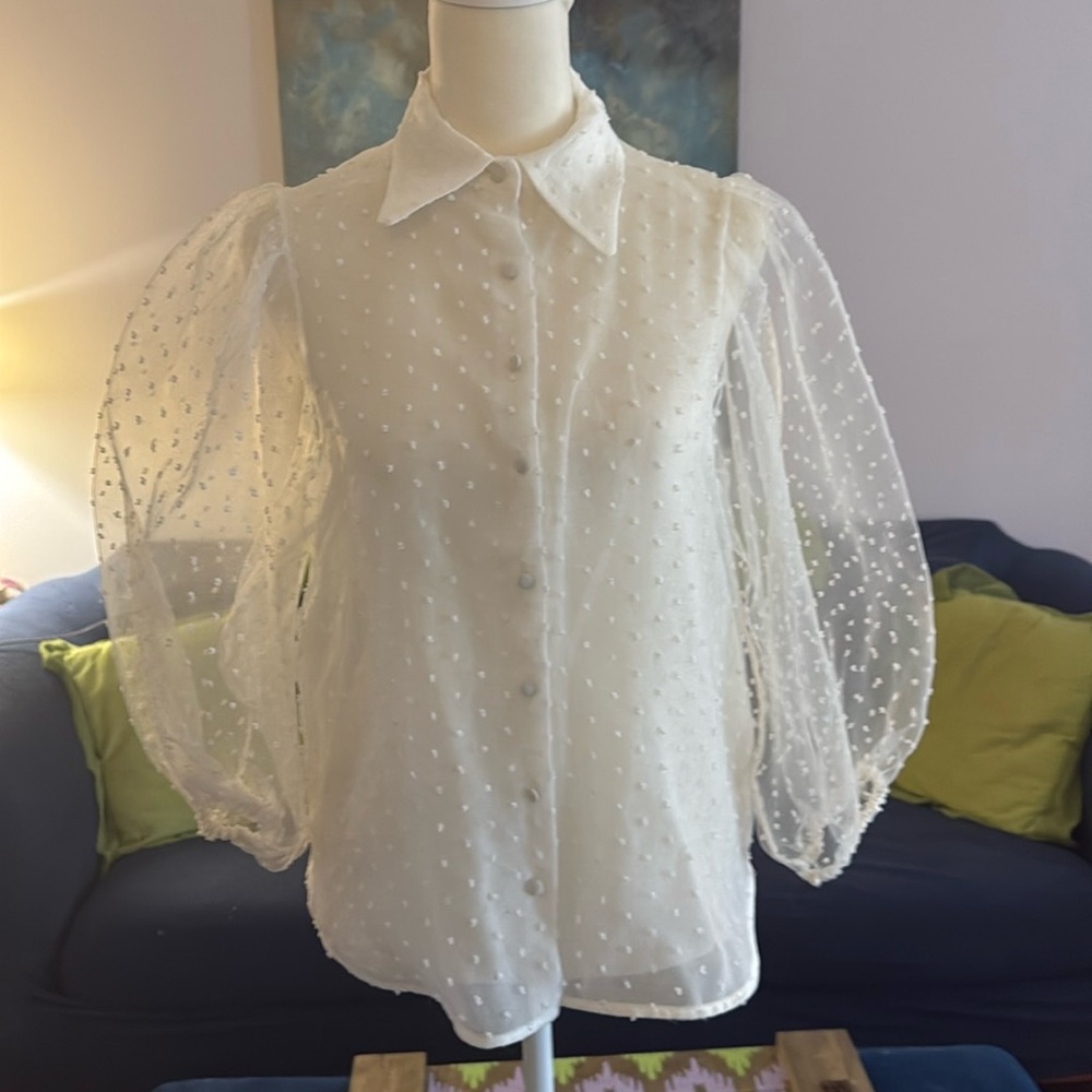 NWT ZARA Sheer White Dot Blouse - XS